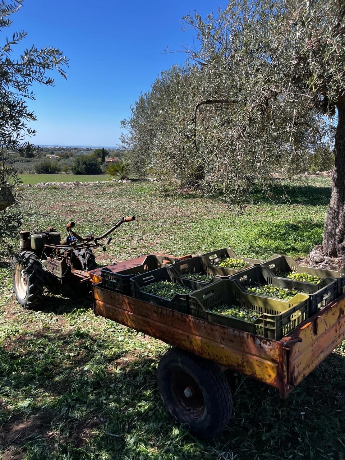 La Bella Vita Agriturismo Chiaramonte Gulfi Εξωτερικό φωτογραφία